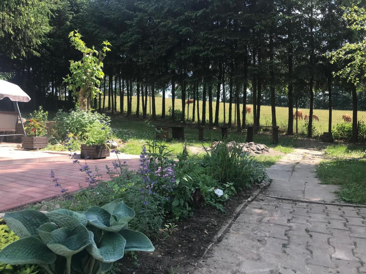 Kruklanki, Holiday home *