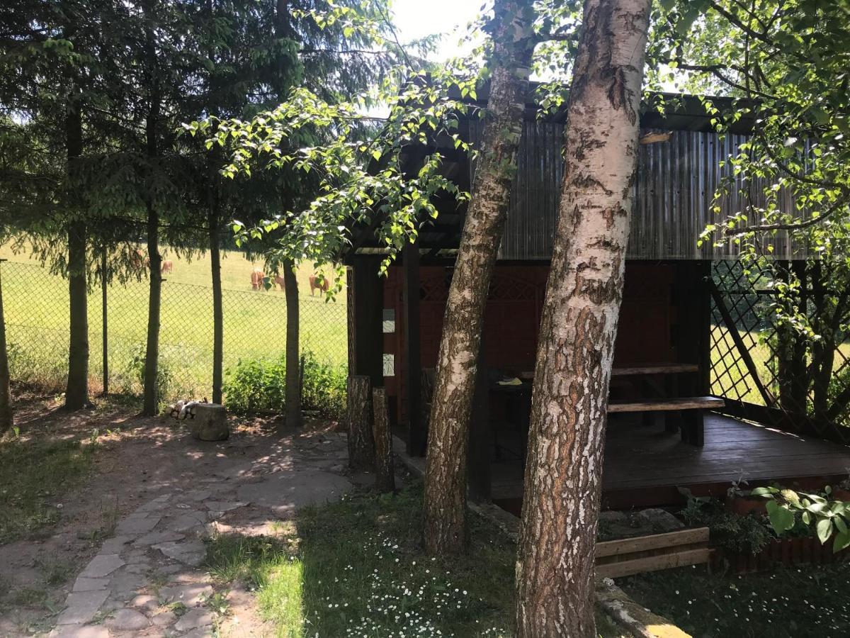 Kruklanki, Brozowka